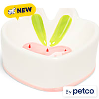 EveryYay Strawberry Elevated Ceramic Dog Bowl