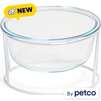EveryYay Elevated Glass Dog Bowl with Metal Stand