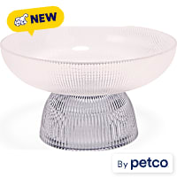 EveryYay Elevated Round Glass Dog Bowl
