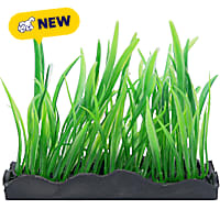 Penn Plax Tide & Treasure Aquascaping Plants Hairgrass