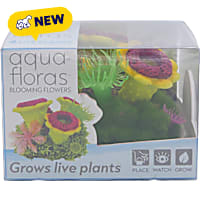 Penn Plax Tide & Treasure Aqua-Floras Blooming Flowers Grows LIVE Plants