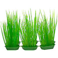 Imagitarium Green Foreground Plastic Aquarium Plants