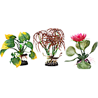 Imagitarium Floral Aquarium Plant