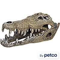 Imagitarium Nile Crocodile Skull