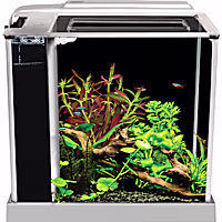 Fluval Spec III Aquarium Kit in White