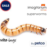 Vita-Bugs Superworms