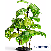Imagitarium Stand Araceae Plant Terrarium Decor