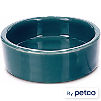 Imagitarium Ceramic Terrarium Dish for Reptiles