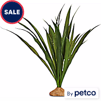 Imagitarium Orchid Grass Terrarium Plant