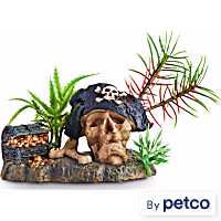 Imagitarium Pirate Skull with Plant Aquatic Decor