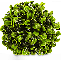Imagitarium Hedge Ball Aquatic Decor