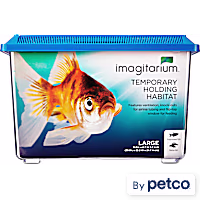 Imagitarium Temporary Pet Keeper for Aquarium Fish