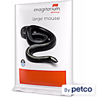 Imagitarium Frozen Large Mouse