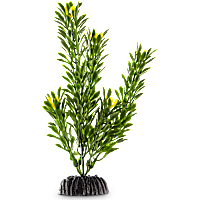 Imagitarium Green Foreground Aquarium Plant