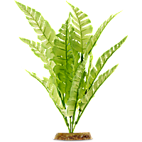 Imagitarium Bright Green Silk Plant