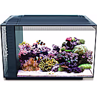Fluval EVO XII Marine Aquarium Kit