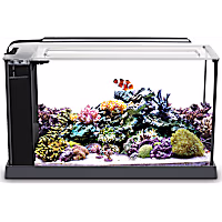 Fluval 5 Gallon EVO V Marine Aquarium Kit