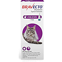 Bravecto Topical Solution for Cats 13.8-27.5 lbs