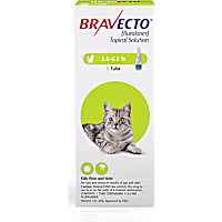 Bravecto Topical Solution for Cats 2.6-6.2 lbs