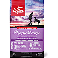 ORIJEN Puppy Large Recipe Grain Free High Protein Dry Dog Food