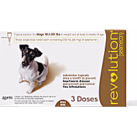 Revolution Topical Solution for Dogs 10.1-20 lbs