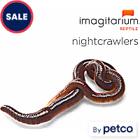 Nightcrawlers