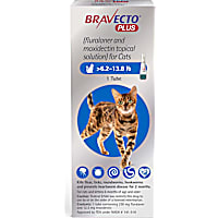 Bravecto Plus Topical Solution for Cats Greater Than 6.2-13.8 lbs