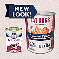Natural Balance Fat Dogs Targeted Nutrition Chicken & Salmon Formula Wet Food