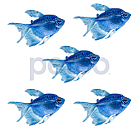 Cosmic Blue Longfin Tetra GloFish