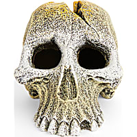 Imagitarium Primate Skull Decor