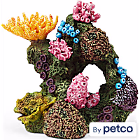 Imagitarium Coral Aquarum Decor