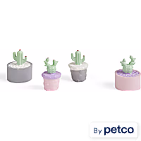Imagitarium 4-piece Succulent Accents