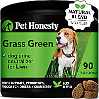 Pet Honesty Grass Green Soft Chews for Dogs