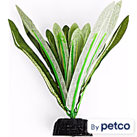 Imagitarium Anubias Betta Plant
