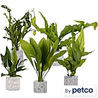 Tube Plant Combo Pack D