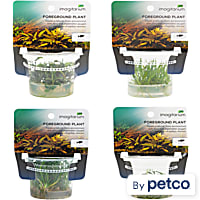 Tissue Culture Combo Pack F