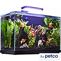 Imagitarium Glass Versa Aquarium
