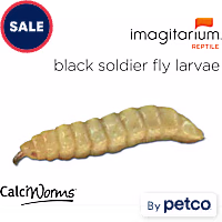 CalciWorms (Hermeia illucens)