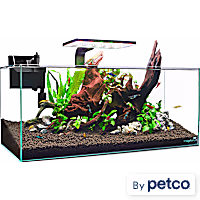 Imagitarium Shallow Glass Shrimp & Aquatic Plants Aquarium