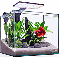 Imagitarium Glass Betta Aquarium Kit