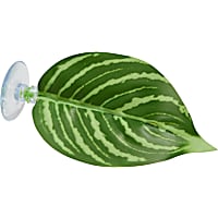 Imagitarium Single Leaf Betta Perch