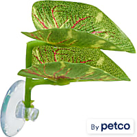 Imagitarium Double Leaf Betta Perch