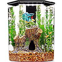Imagitarium Plastic Hexagon Betta Aquarium