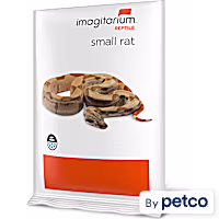Imagitarium Frozen Small Rat