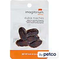 Imagitarium Dubia Cockroach
