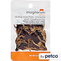 Imagitarium Insect Variety Pack