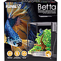 Fluval 20L Betta Aquarium Kit