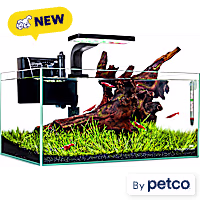 Imagitarium Shallow Glass Aquarium Kit with Lighting, Filtration & Accessories