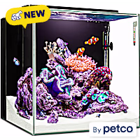 Imagitarium Cube Glass Aquarium Kit with Lighting, Filtration & Accessories