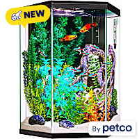 Imagitarium Hexagonal Glass Aquarium Kit with Lighting, Filtration & Accessories